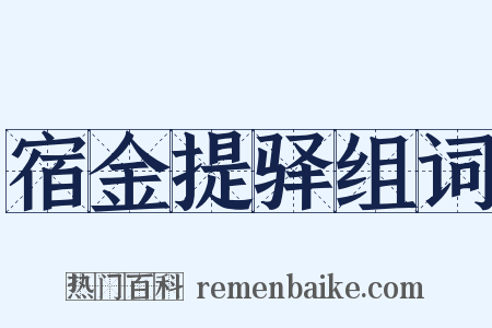 宿金提驿组词是什么意思的图片